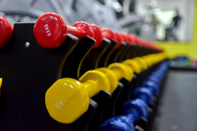 Row of colorful dumbbells on stands in a gym setting